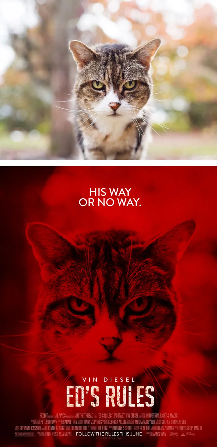 This Redditor Is Turning Random People's Photos Into Movie Posters