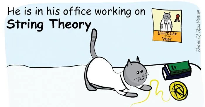Science Cat Works On String Theory