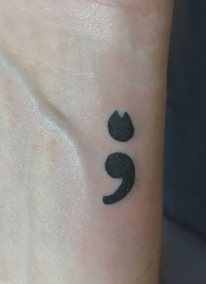 A Semicolon Cat