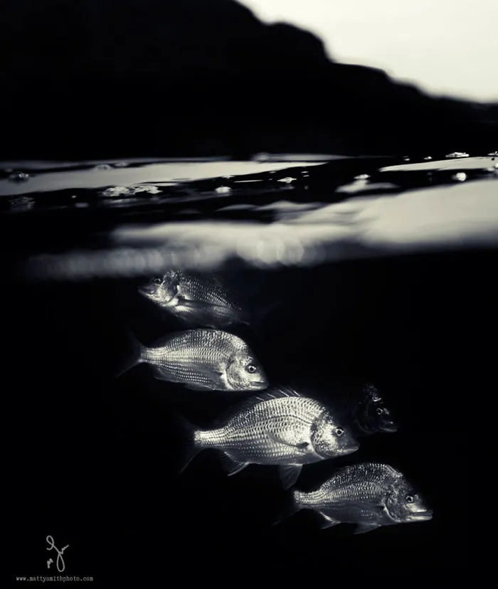 Underwater World