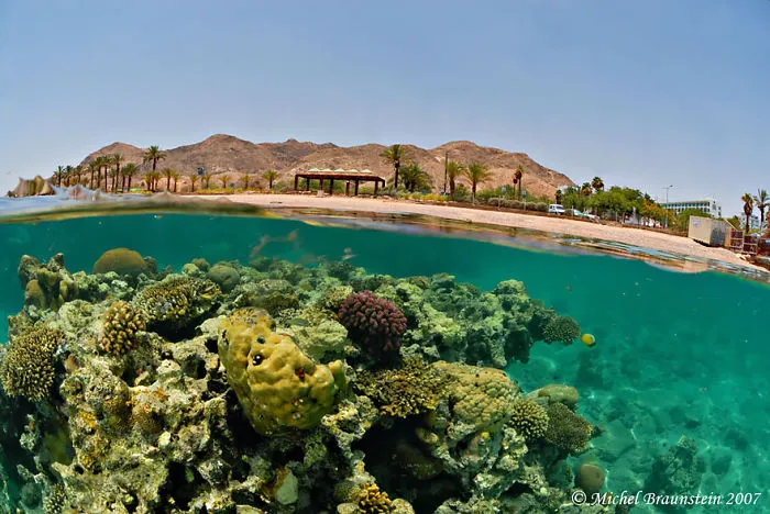 Eilat's Shore