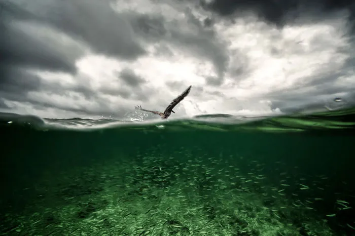 Underwater World