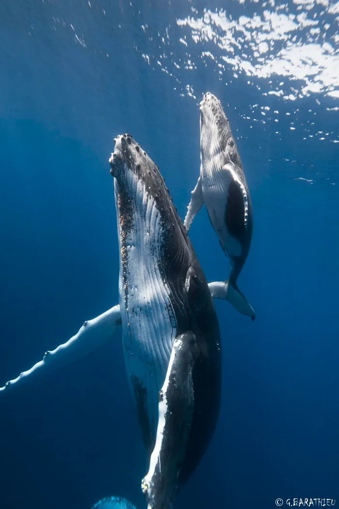 Mother And Baby