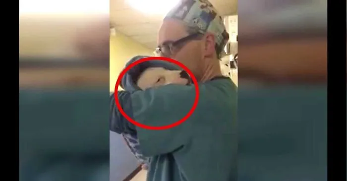 Surgery Vet Comforts Dog After Operation By Rocking Her Like A Baby