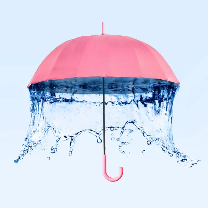 Umbrella