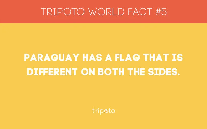 12 Crazy World Facts
