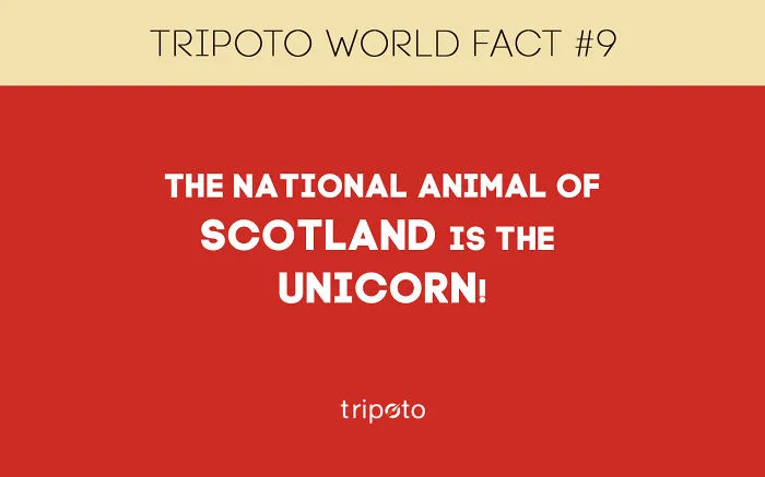 12 Crazy World Facts
