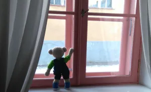 20 Things To Do Every Day To Make You As Happy As A Teddy