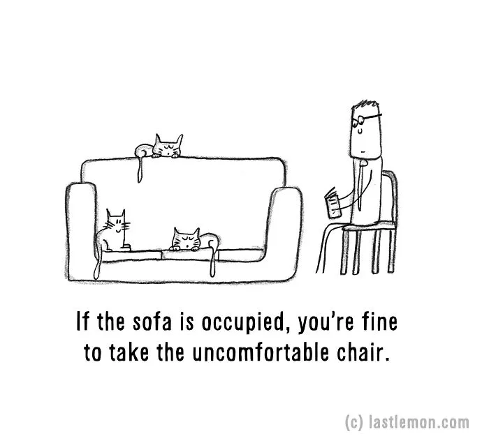 20 Signs That You're A Crazy Cat Parent