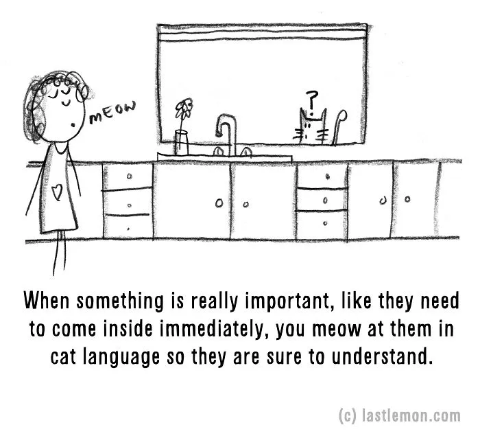 20 Signs That You're A Crazy Cat Parent
