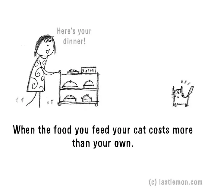20 Signs That You're A Crazy Cat Parent