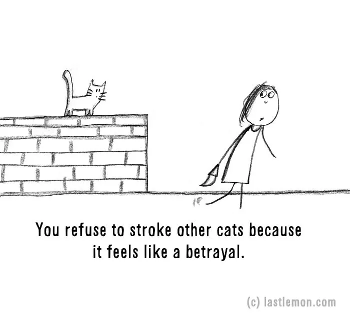 20 Signs That You're A Crazy Cat Parent