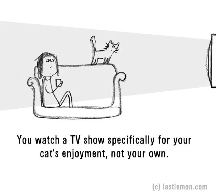 20 Signs That You're A Crazy Cat Parent