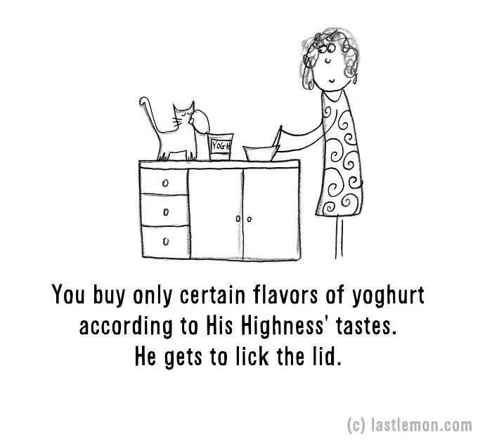 20 Signs That You're A Crazy Cat Parent