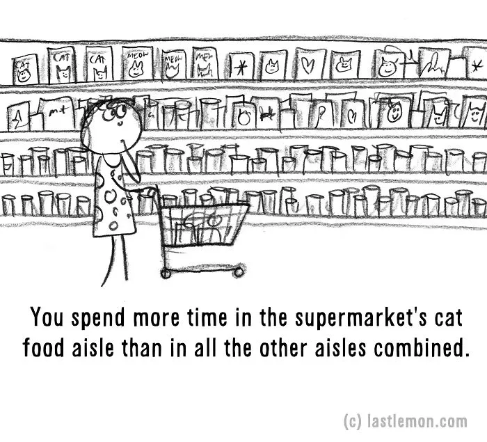 20 Signs That You're A Crazy Cat Parent