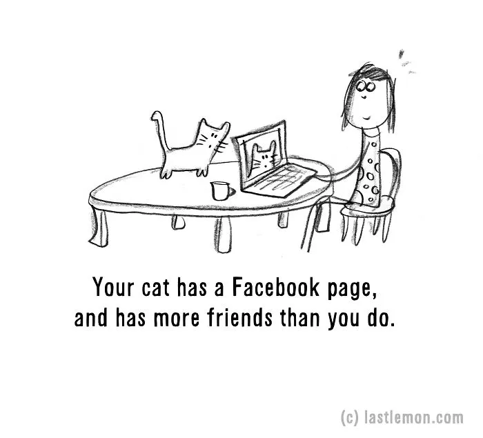 20 Signs That You're A Crazy Cat Parent
