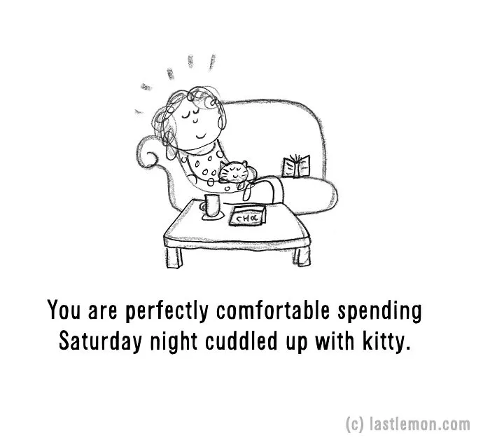 20 Signs That You're A Crazy Cat Parent