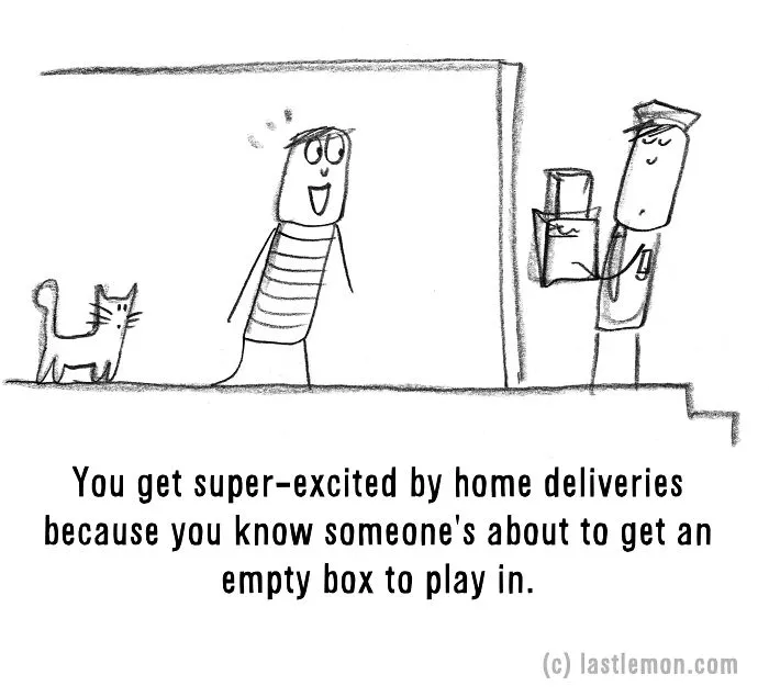 20 Signs That You're A Crazy Cat Parent