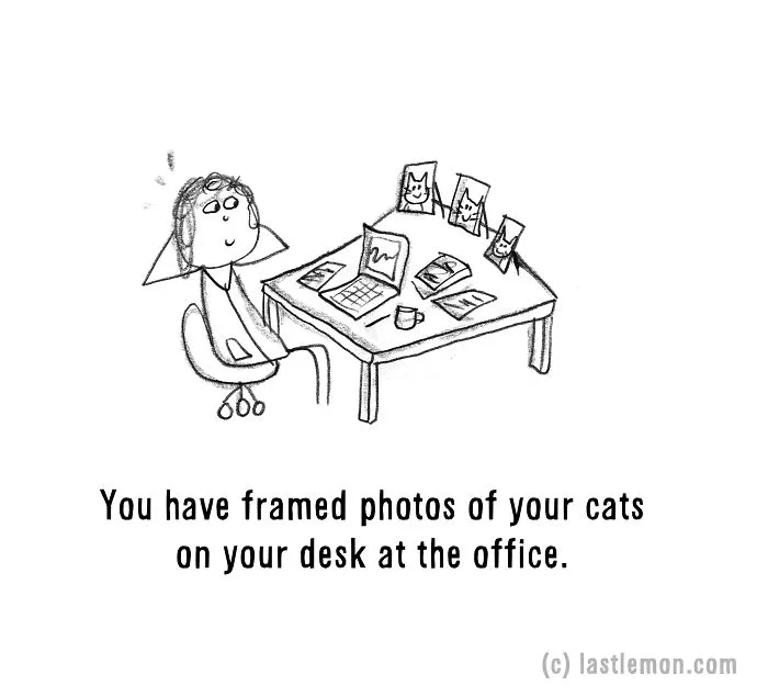 20 Signs That You're A Crazy Cat Parent