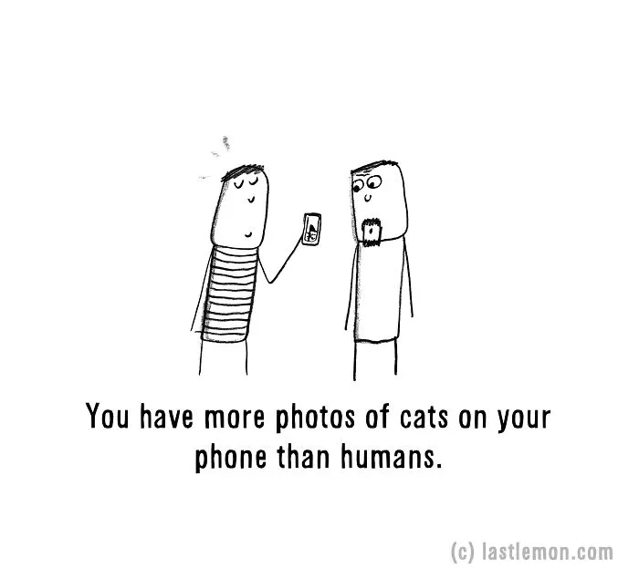 20 Signs That You're A Crazy Cat Parent