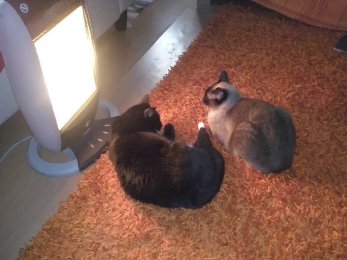 Warm, So Niceeeee!
