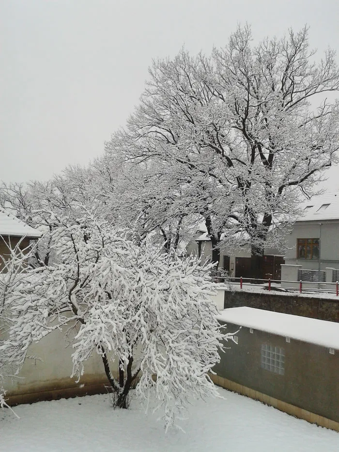 Winter View From My Office