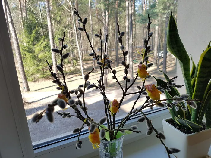 I Can Smell The Spring...