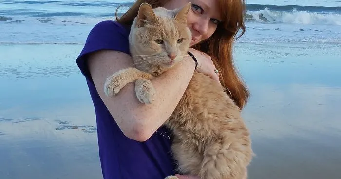 Woman Rescues 21-Year-Old Cat Abandoned By Owner, To Give Him Best Remaining Days