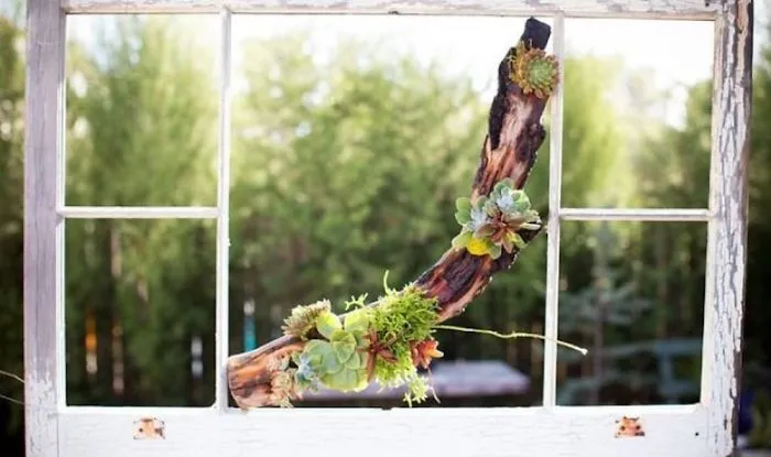 Driftwood Decor