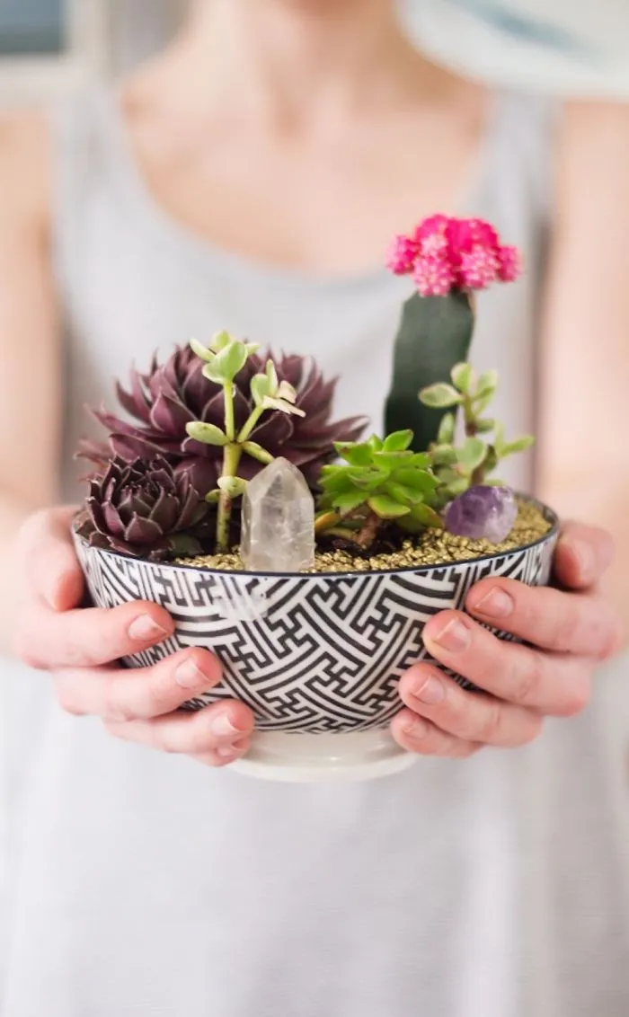 Table Top Succulent Decor