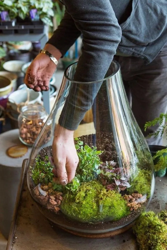 Moss Terrarium