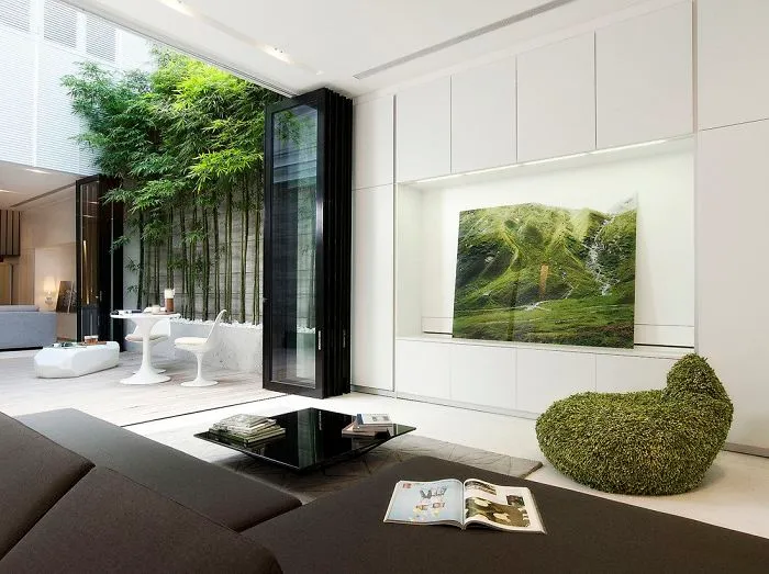 Indoor Bamboo Garden