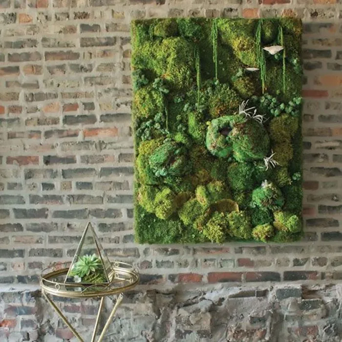 Moss Wall Decor