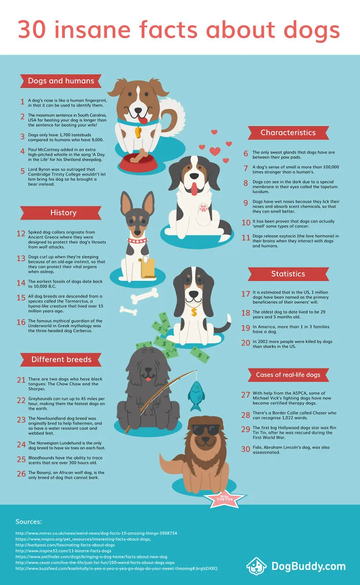 30 Insane Facts About Dogs
