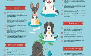 30 Insane Facts About Dogs