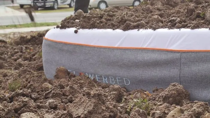 The World's First Plantable Mattress Comes Infused With Seeds