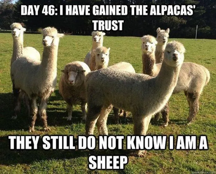 These Memes Will Make You Laugh 2.0