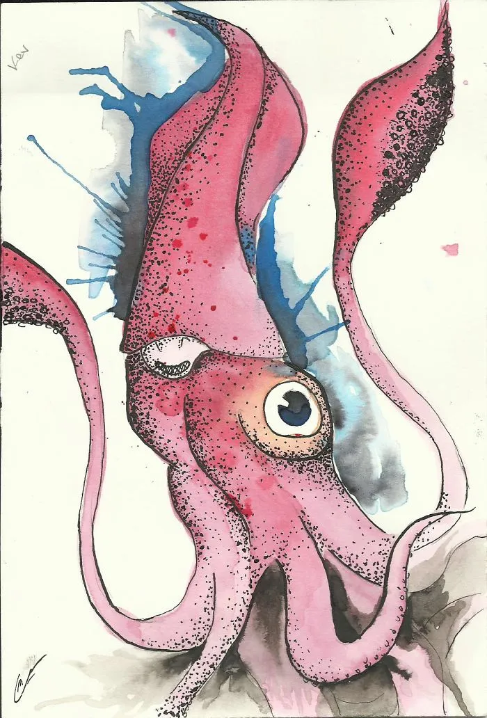 This Is A Squid