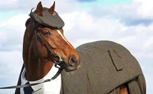 Horse Gets Tailored Three-Piece Suit, Looks Absolutely Dashing
