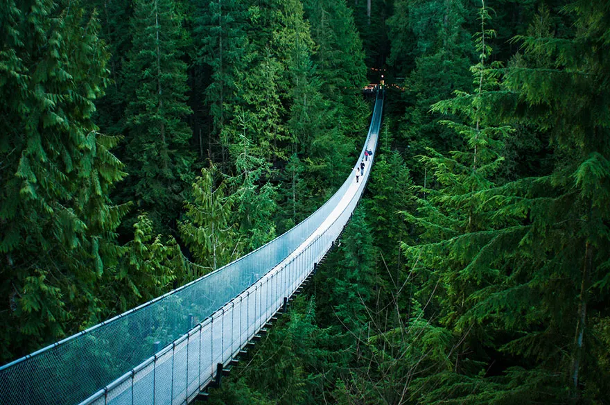 Walking Across The Capilano Suspension Bridge In Vancouver, Canada