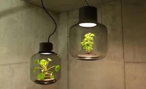 We Designed These Lamps To Grow Plants In Windowless Spaces