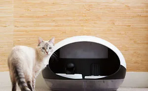 We Invented Catspad: A New Technology That Will Improve Cat Owners Lifestyle