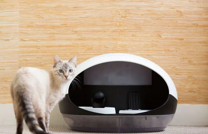 We Invented Catspad: A New Technology That Will Improve Cat Owners Lifestyle