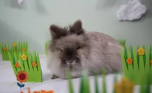 We Invited The Easter Bunny Into Our Photo Shoot
