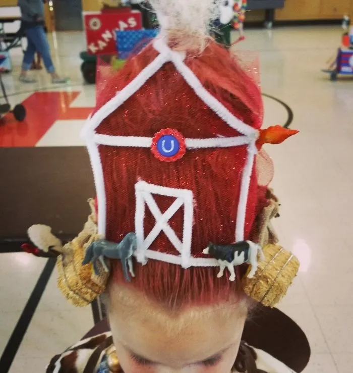 Crazy Hair Day Barn