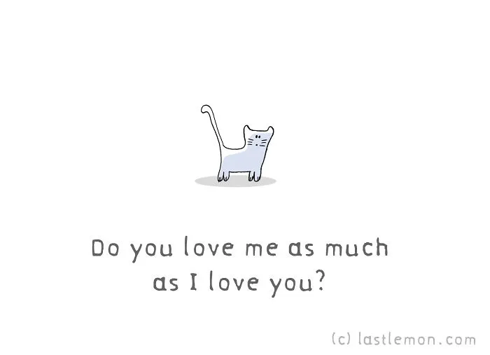 11 Questions That Cats Ask