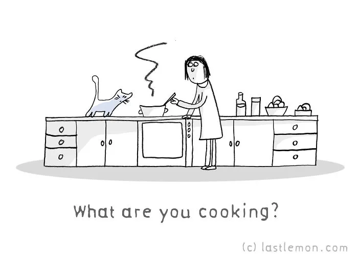 11 Questions That Cats Ask