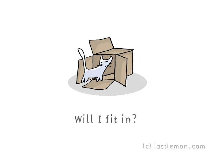 11 Questions That Cats Ask