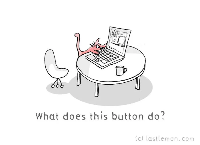 11 Questions That Cats Ask