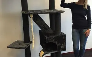 A Cat Tree Can Change Your Life!